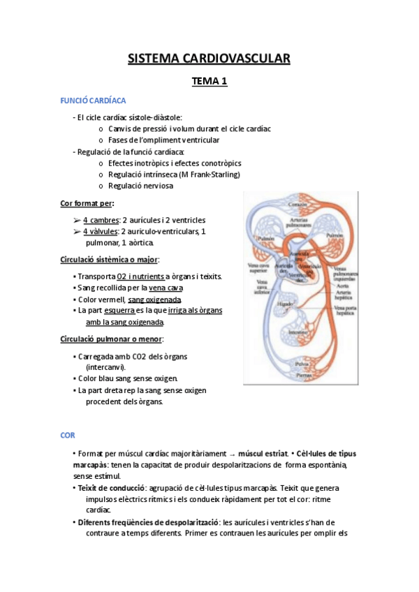 Miniatura del documento Bloc-III-IV-i-V.pdf