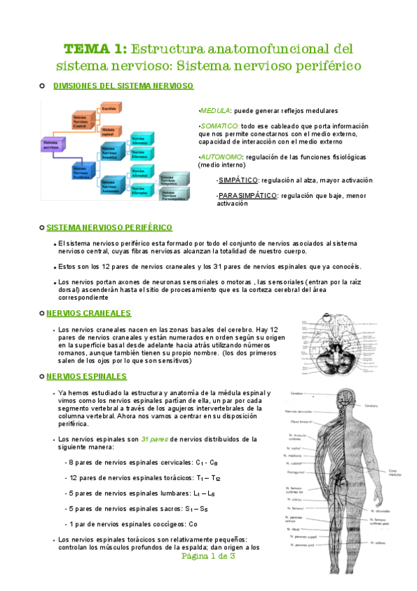 Miniatura del documento TEMA-1-pdf.pdf