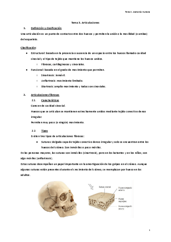Miniatura del documento Tema-3.-Articulaciones.pdf