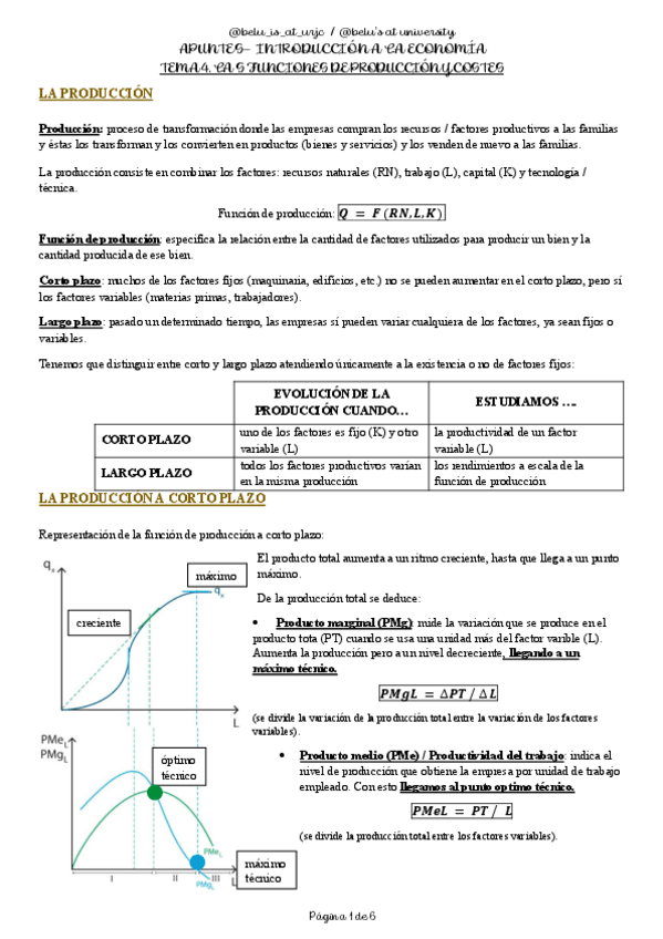 Miniatura del documento TEMA-4.-LAS-FUNCIONES-DE-PRODUCCION-Y-COSTES-INTRODUCCION-A-LA-ECONOMIA.pdf