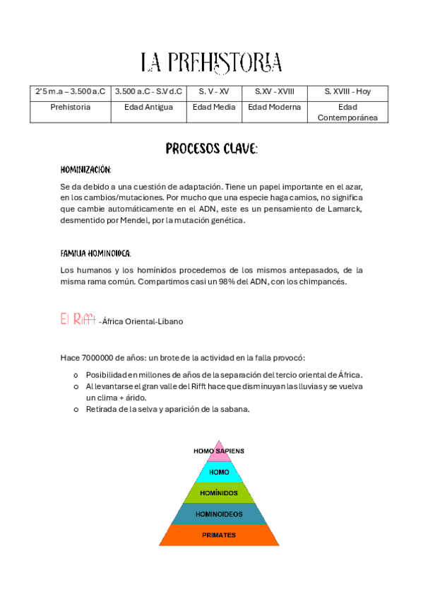 Miniatura del documento APUNTES-PREHISTORIA.pdf