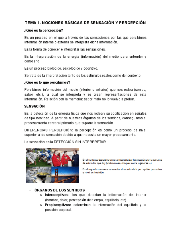 Miniatura del documento TEMA-1.docx.pdf
