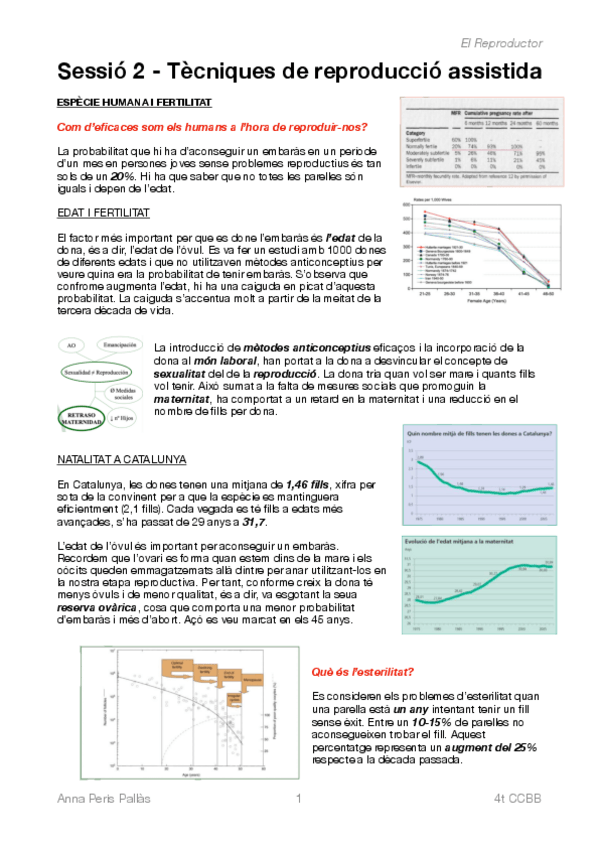 Miniatura del documento SESSIO-2-EL-REPRODUCTOR.pdf