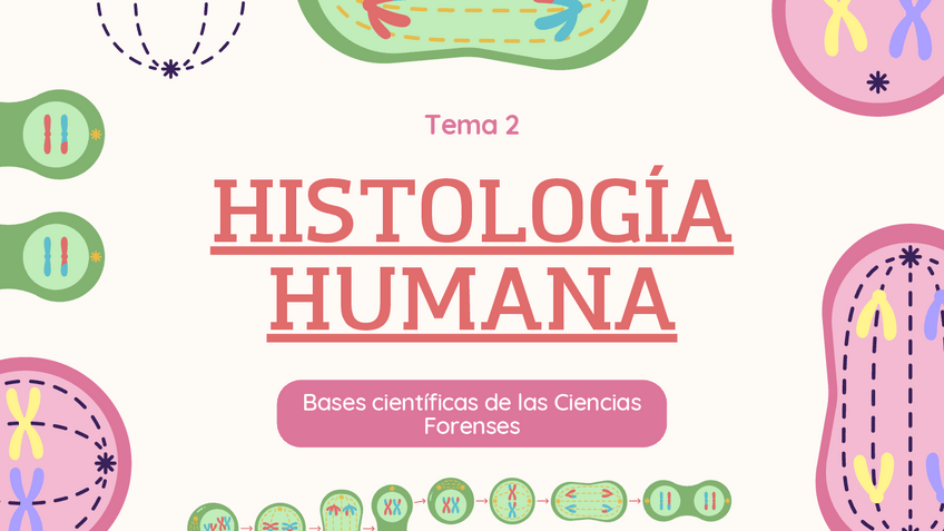 Miniatura del documento T.2-HISTOLOGIA-HUMANA.pdf