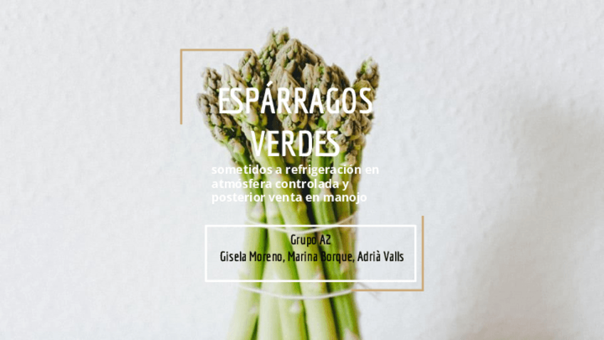 Miniatura del documento ESPARRAGOS-VERDES.pdf