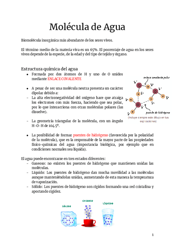 Miniatura del documento Molecula-de-Agua.pdf