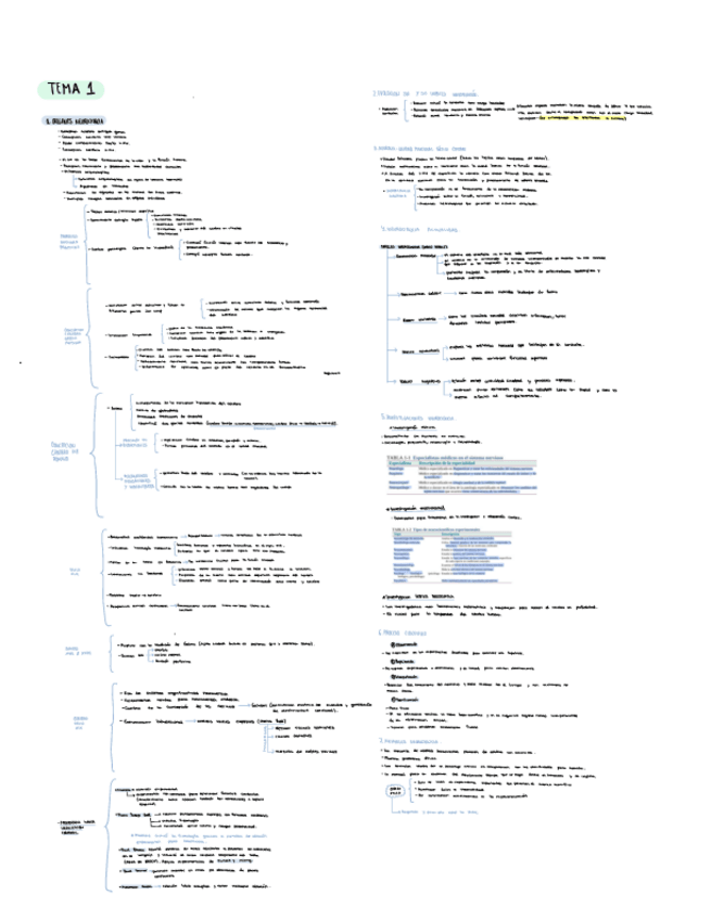 Miniatura del documento Tema-1-esquema.pdf