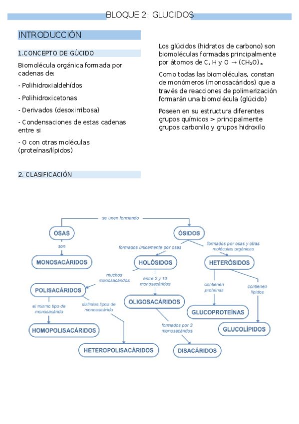 Miniatura del documento BLOQUE2GLUCIDOS.docx