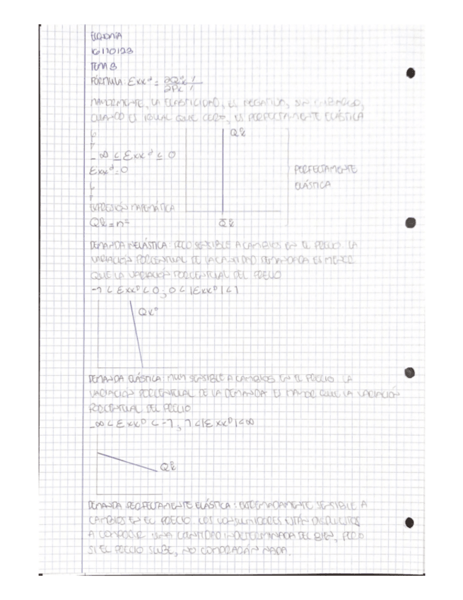Miniatura del documento ELASTICIDADES.pdf