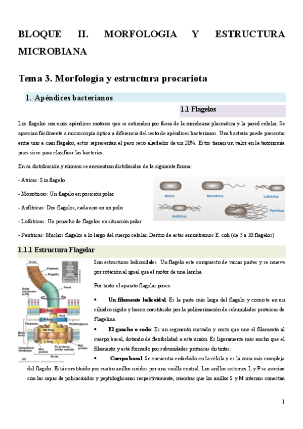 Miniatura del documento MC-tema-3.pdf