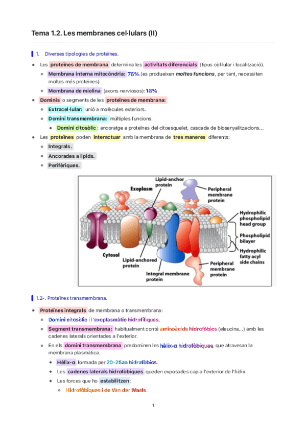 Miniatura del documento Tema-1.2.-Les-membranes-cellulars-II.pdf