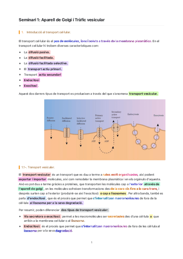 Miniatura del documento Seminari-1-Aparell-de-Golgi-i-Trafic-vesicular.pdf