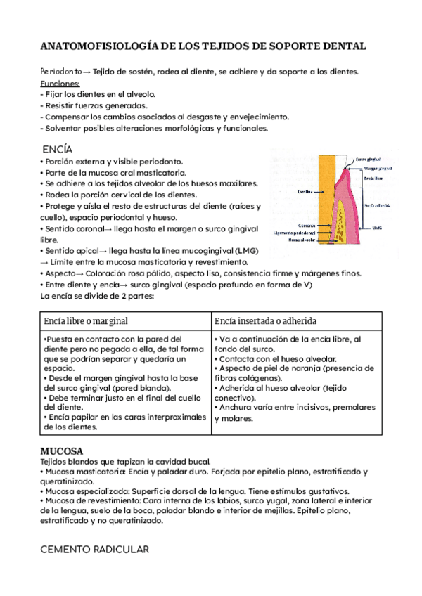 Miniatura del documento T.5-Estudio.pdf
