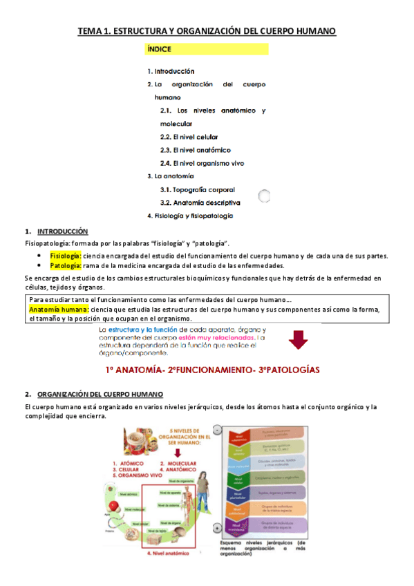Miniatura del documento TEMA-1.-ESTRUCTURA-Y-ORGANIZACION-DEL-CUERPO-HUMANO.pdf