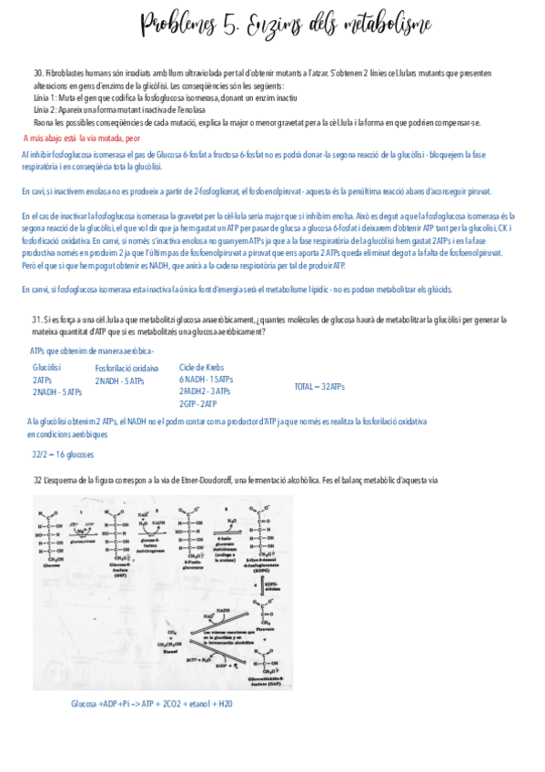 Miniatura del documento Problemas-5.pdf