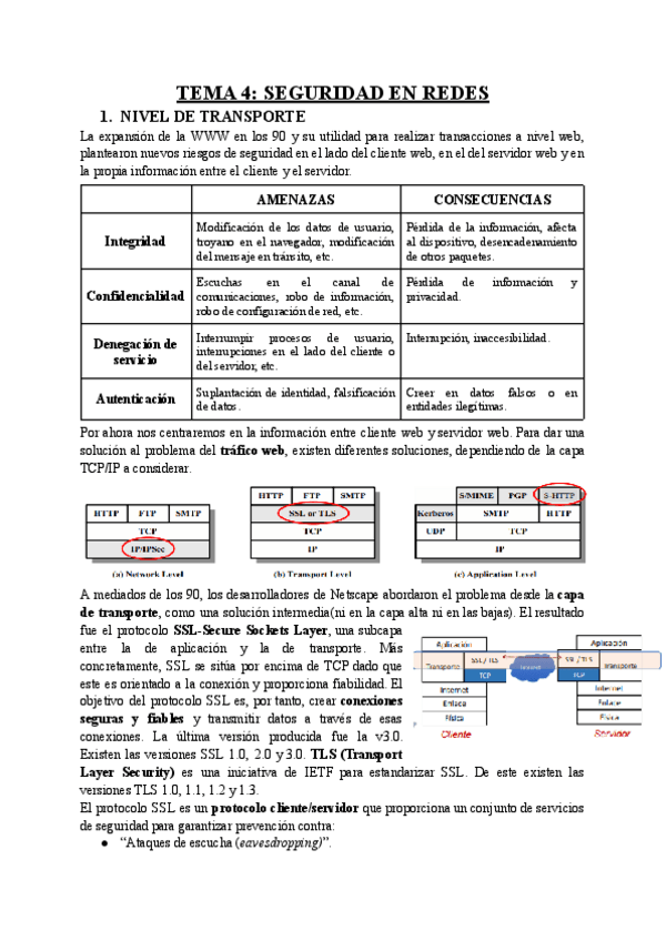 Miniatura del documento Temas-4-y-5-ciberseguridad.pdf