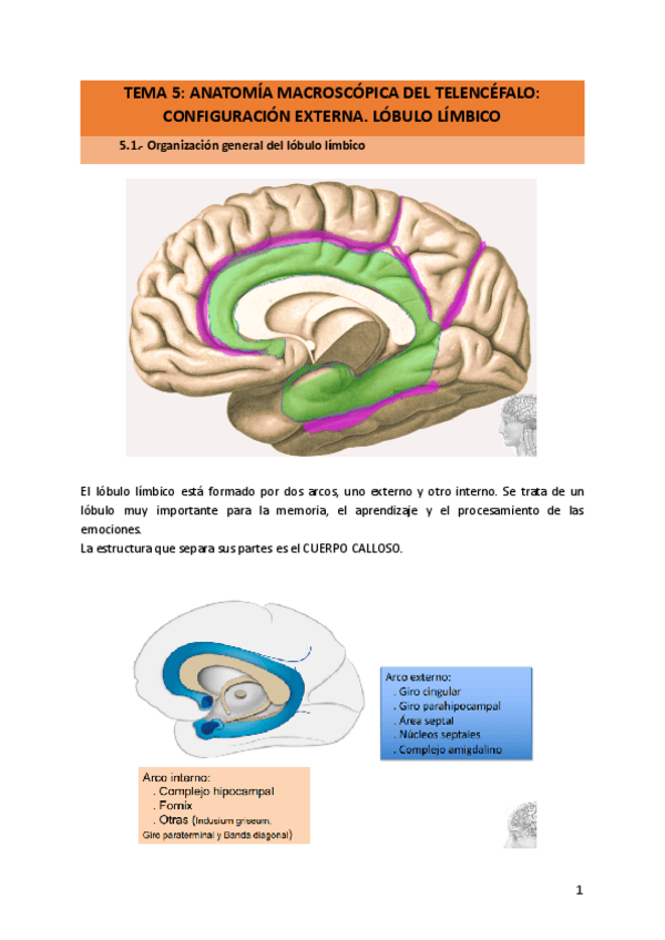 Miniatura del documento TEMA-5.pdf