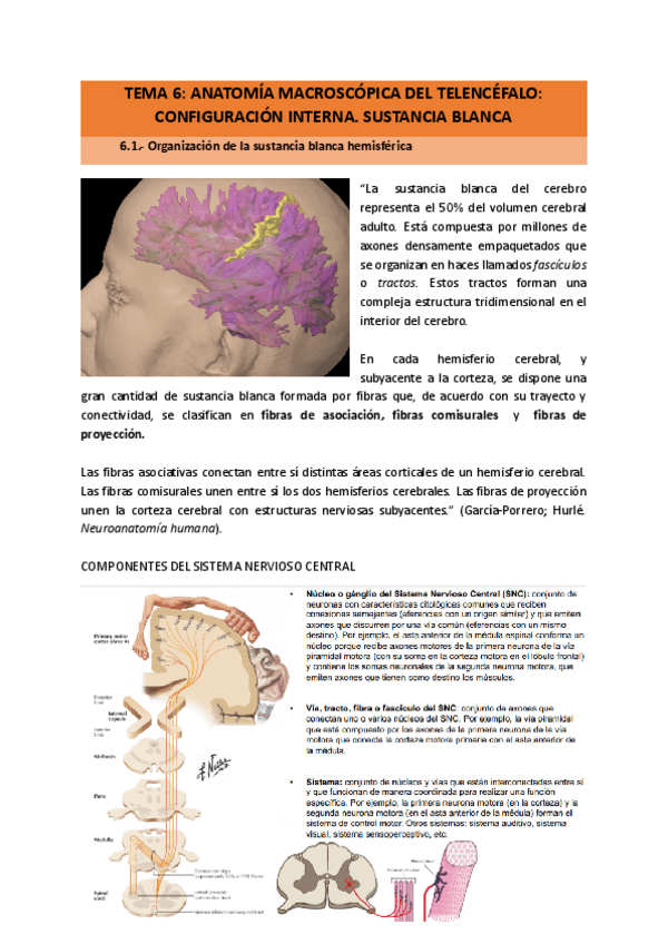 Miniatura del documento TEMA-6.pdf