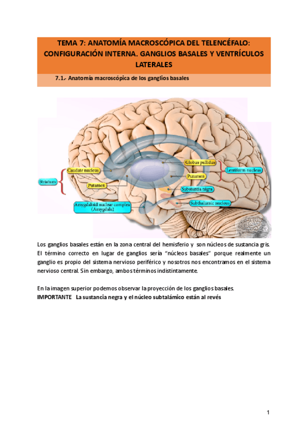 Miniatura del documento TEMA-7.pdf