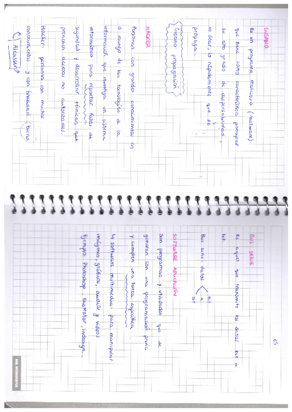 Miniatura del documento informatica-basica-9.pdf