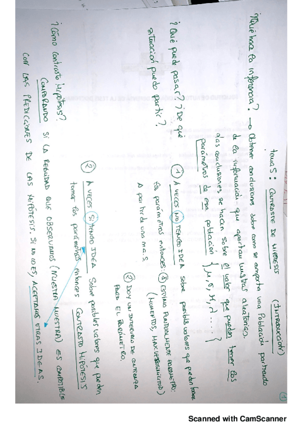 Miniatura del documento apuntes-contrastes.pdf