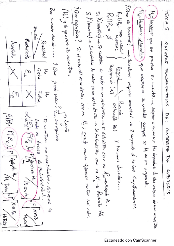 Miniatura del documento apuntes-errores.pdf