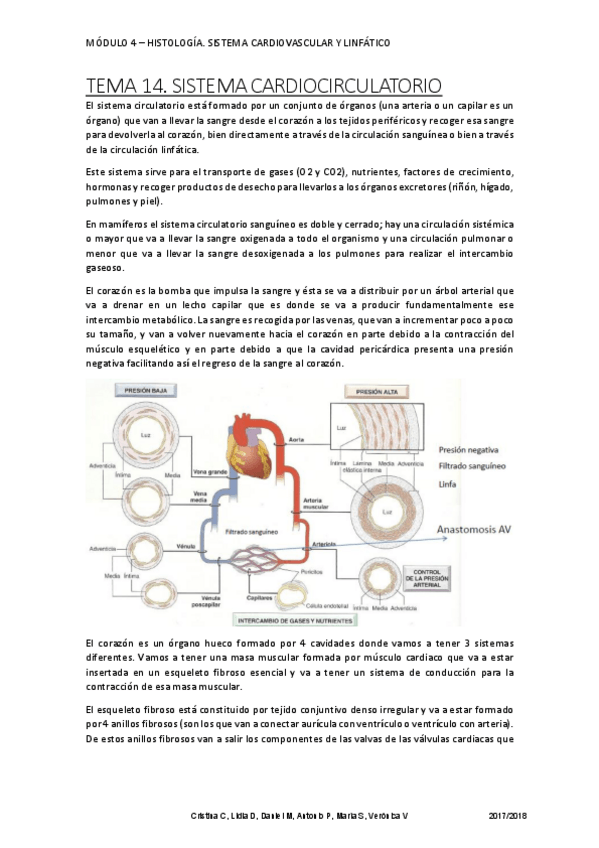 Miniatura del documento SISTEMA CARDIOCIRCULATORIO (1).pdf