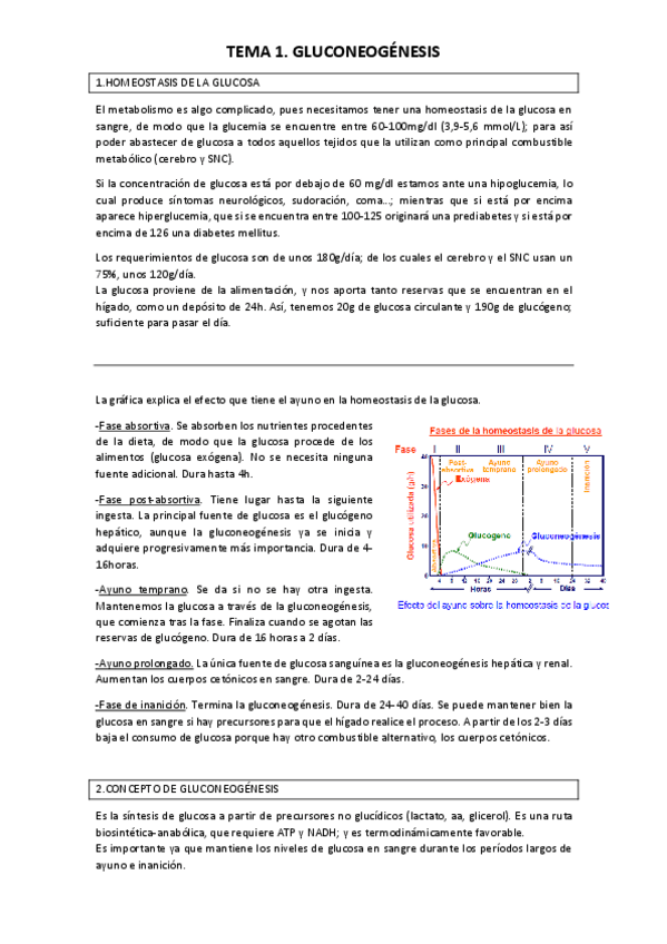 Miniatura del documento Apuntes-completos-Bioquimica-II.pdf