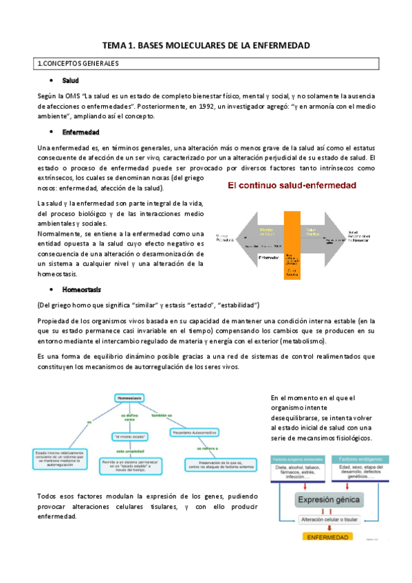 Miniatura del documento Apuntes-completos-Patologia-Molecular.pdf