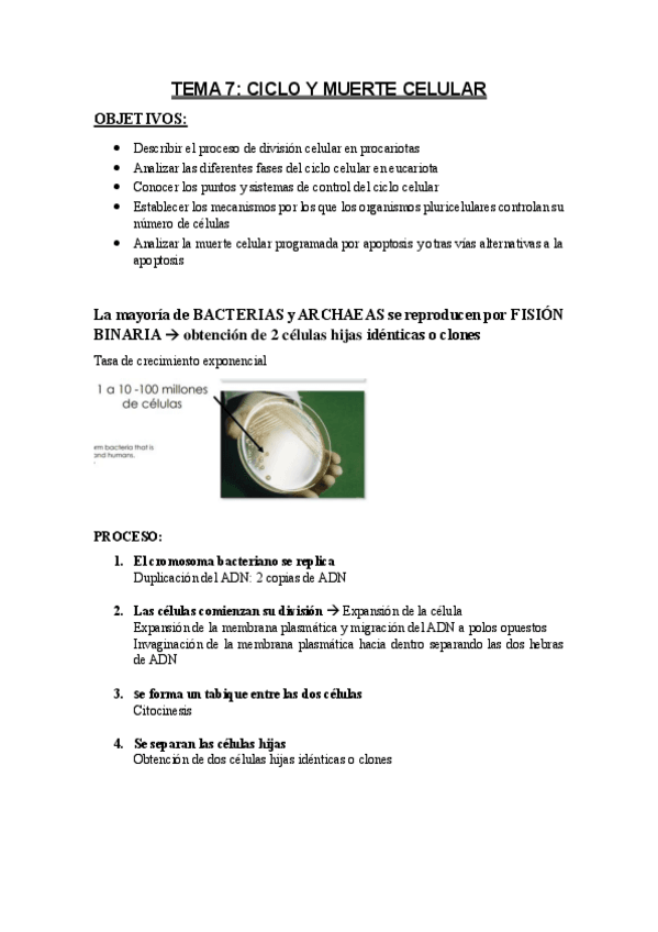 Miniatura del documento SEGUNDO-PARCIAL.pdf