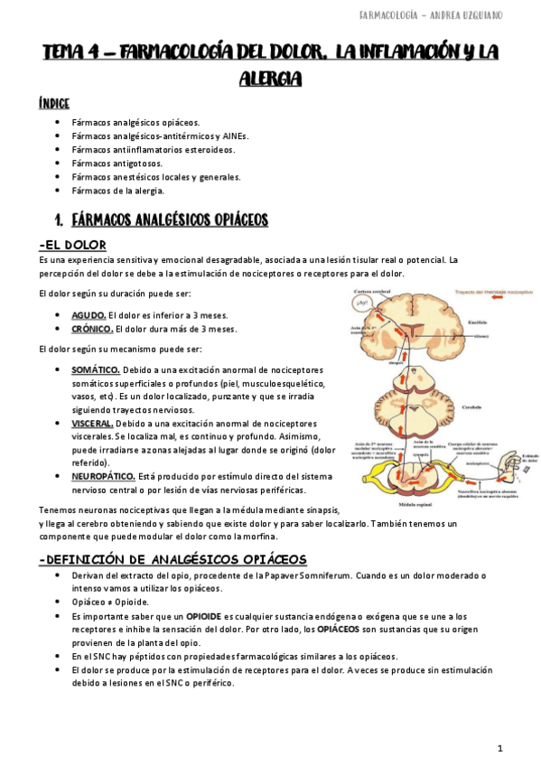 Miniatura del documento FARMACOLOGIA-TEMA-4-5.pdf