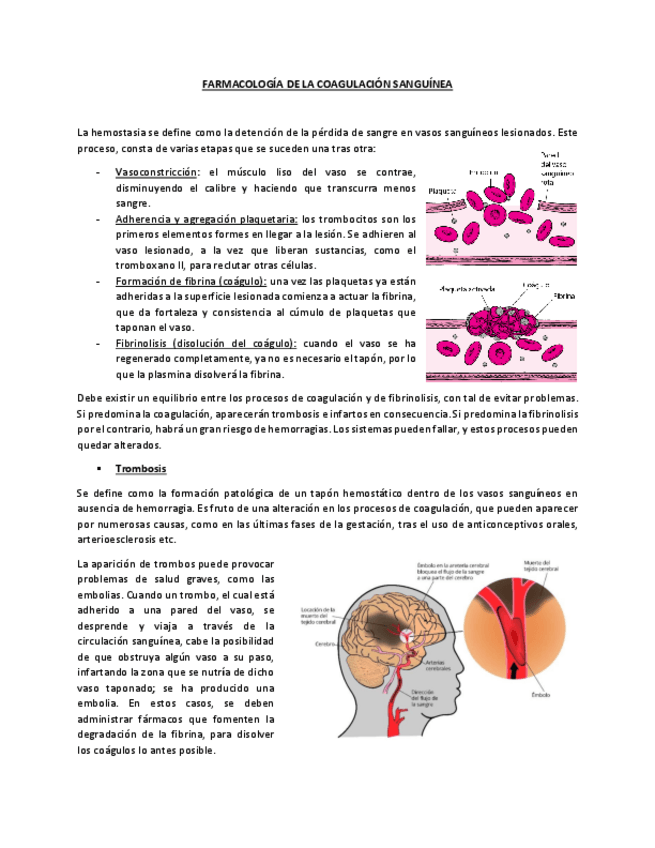Miniatura del documento FARMACOLOGIA-TEMA-6.2.pdf