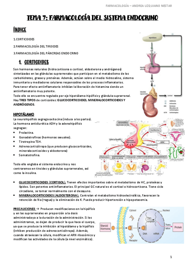 Miniatura del documento FARMACOLOGIA-TEMA-7.pdf
