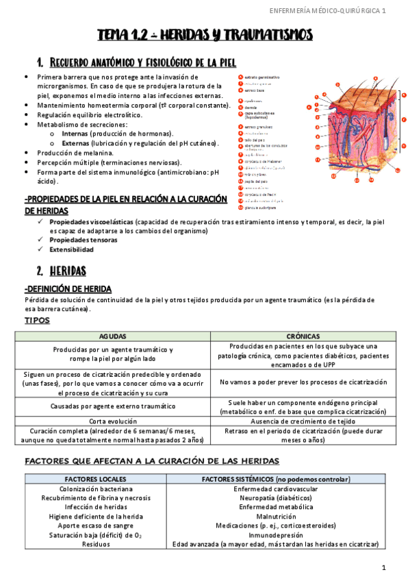 Miniatura del documento Tema-1.2-Heridas-y-traumatismos-EnfMQ1.pdf