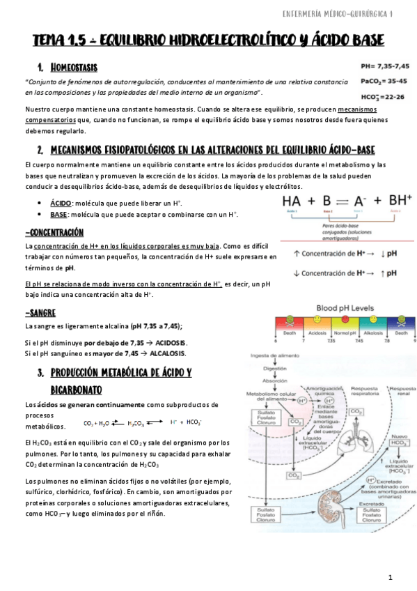 Miniatura del documento Tema-1.5-Equilibrio-Hidroelectrolitico-y-Acido-Base-EnfMQ1.pdf