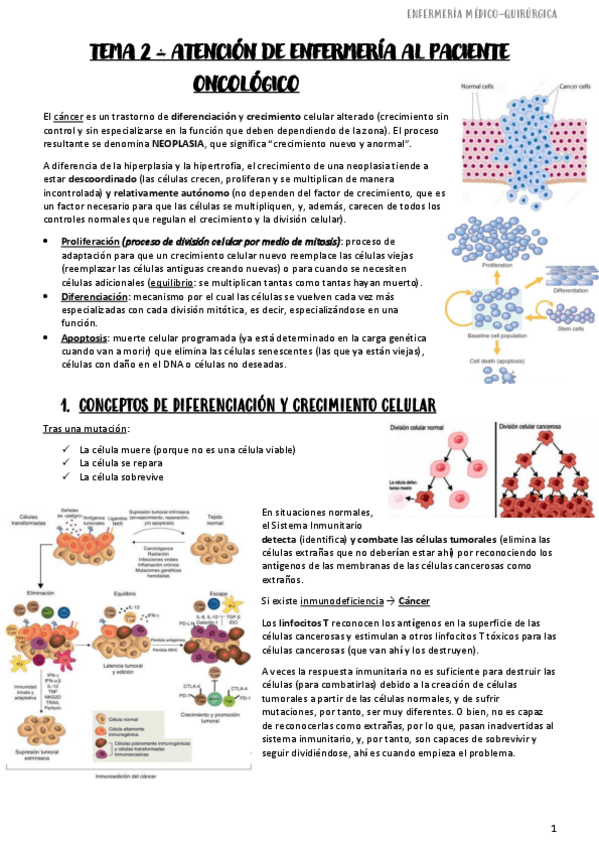 Miniatura del documento Tema-2-Paciente-Oncologico-Enf-MQ1.pdf