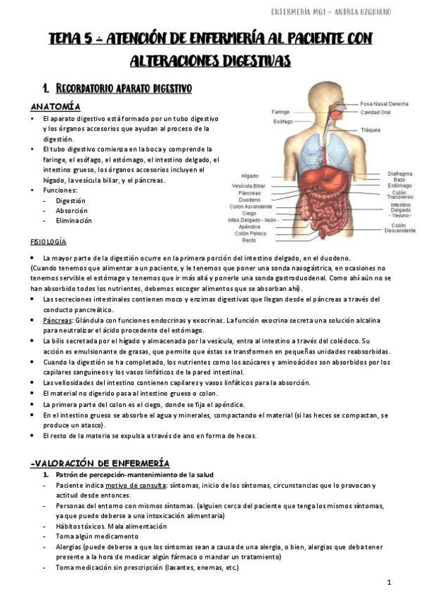 Miniatura del documento Tema-5-Alteraciones-Digestivas-Enf-MQ1.pdf