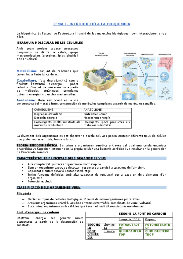 Miniatura del documento 1.-introduccio-a-la-bioquimica.docx