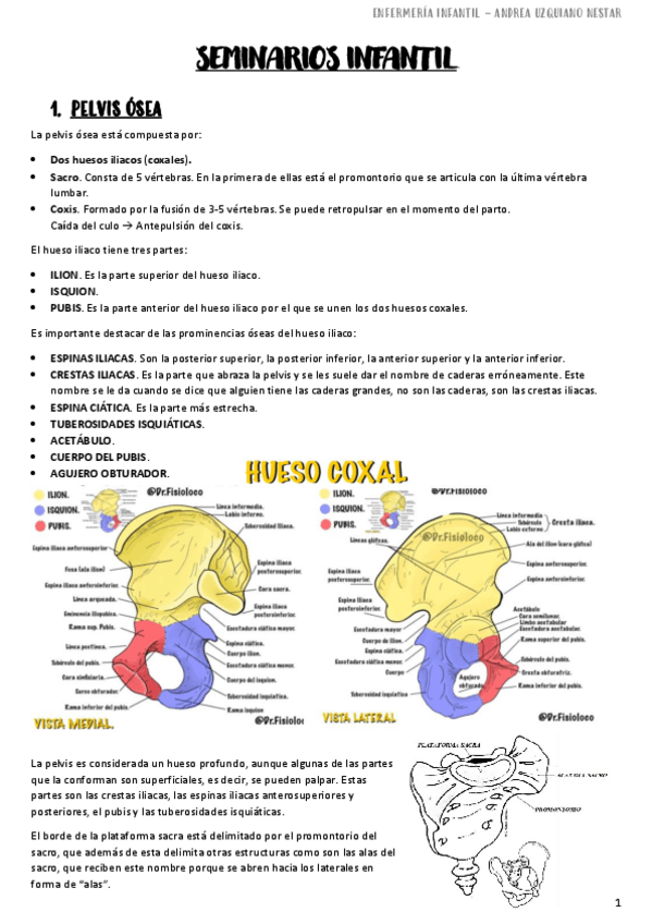 Miniatura del documento Enfermeria-Infantil-Examen-Noviembre.pdf