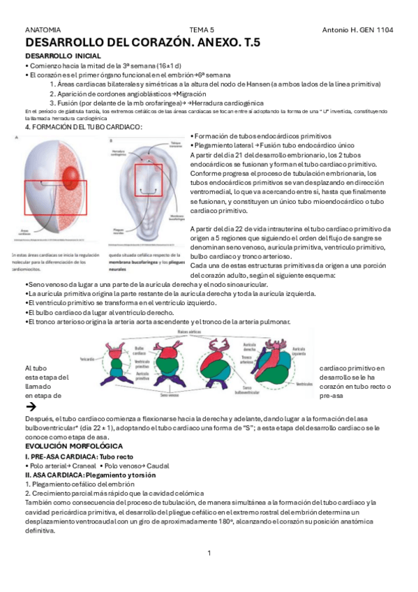 Miniatura del documento Anexo-T.5-Anato.pdf