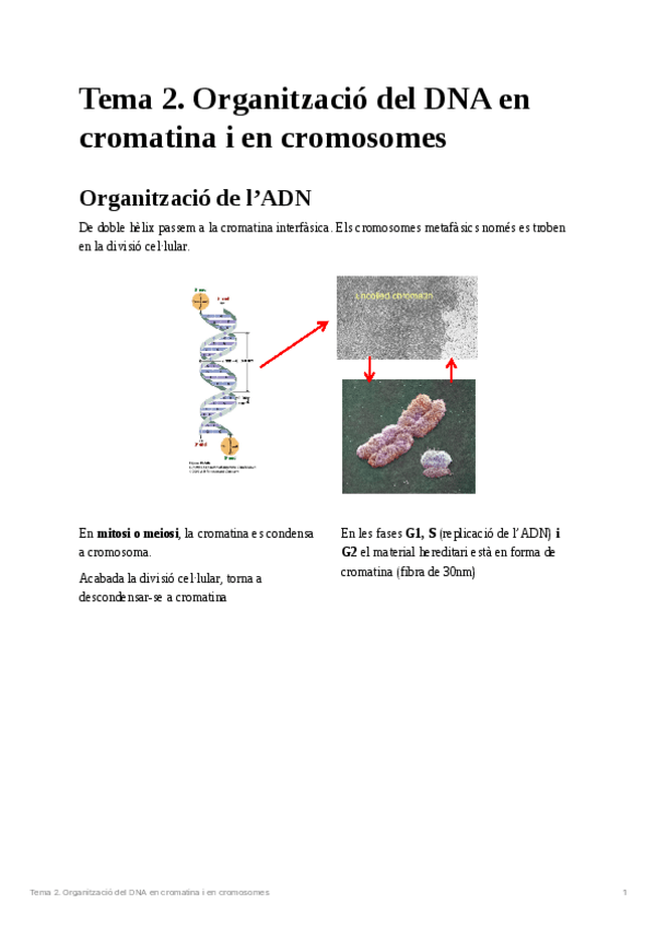 Miniatura del documento Tema-2Genetica-molecular.pdf