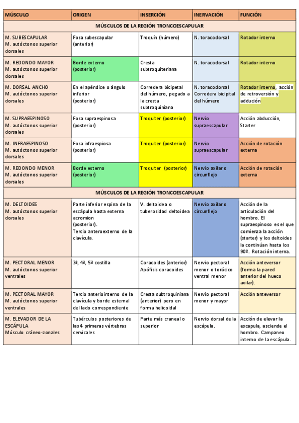 Miniatura del documento TABLA-MUSCULOS.pdf