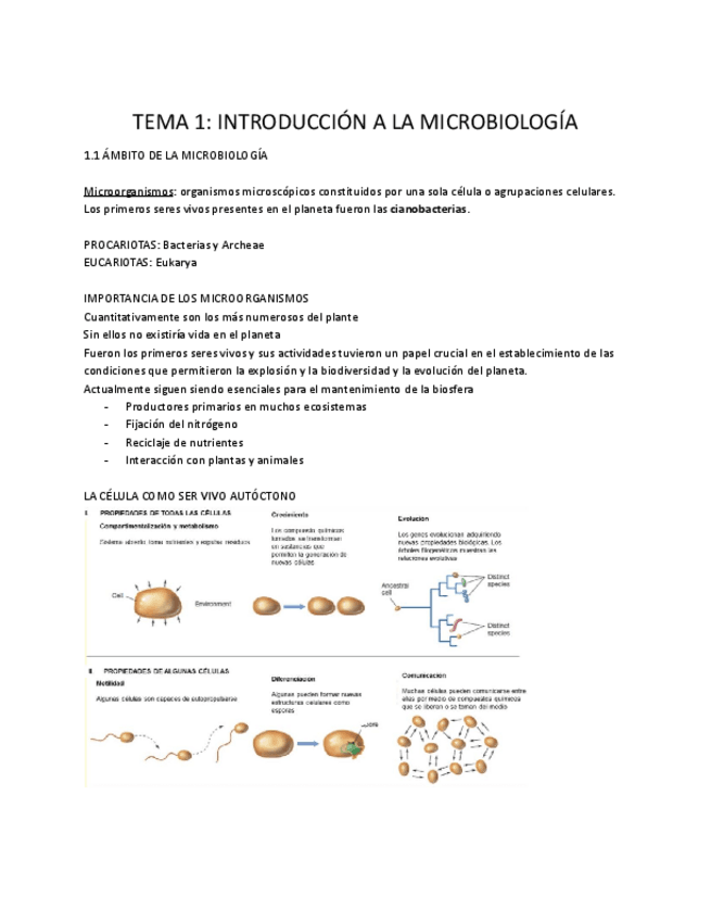 Miniatura del documento TEMA-1-INTRODUCCION-A-LA-MICROBIOLOGIA.pdf