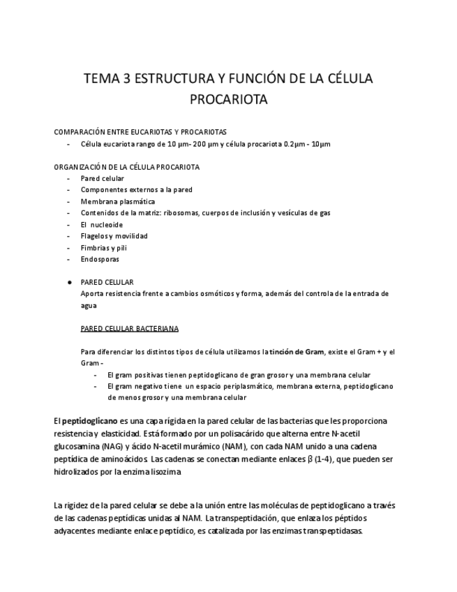 Miniatura del documento TEMA-3-ESTRUCTURA-Y-FUNCION-DE-LA-CELULA-PROCARIOTA.pdf