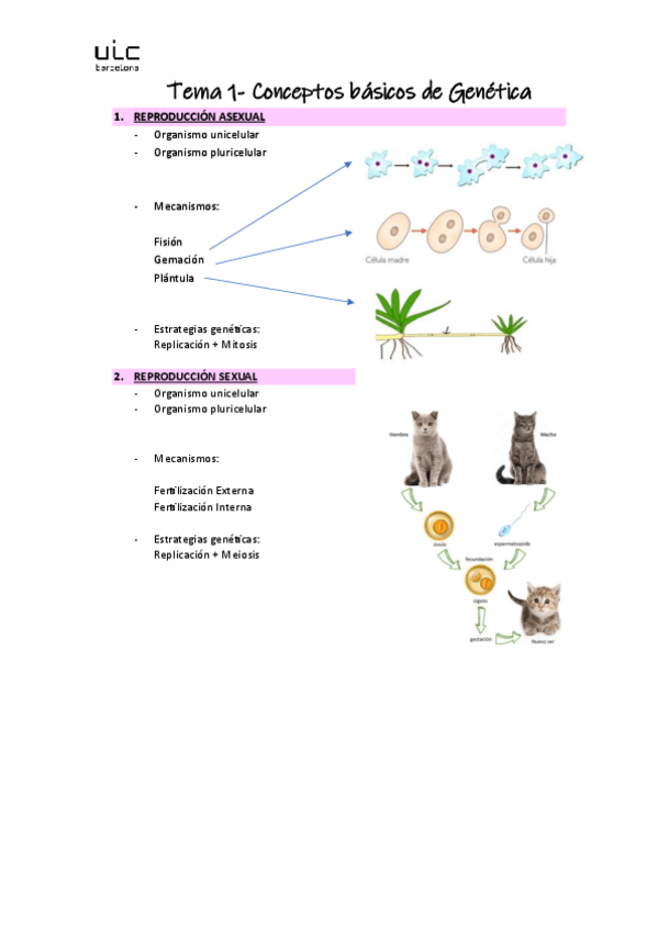 Miniatura del documento Biologia-Apuntes-Finales.pdf