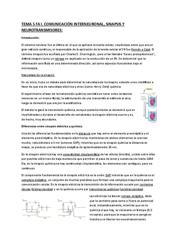 Miniatura del documento TEMA-5-FISIOLOGIA-ANIMAL-I.pdf