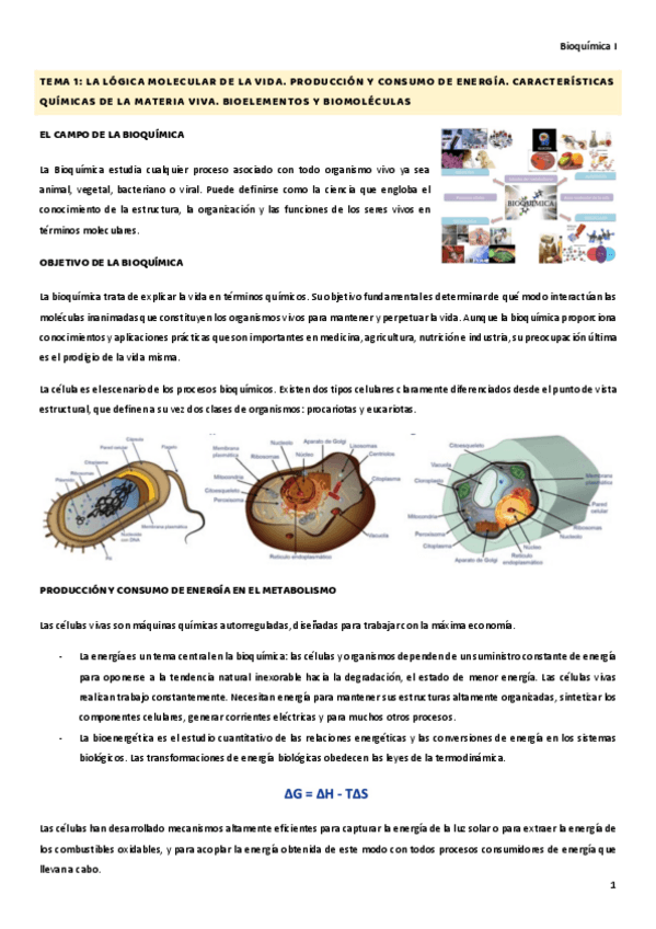 Miniatura del documento Apuntes-Bioquimica-I-formato-comprimido.pdf