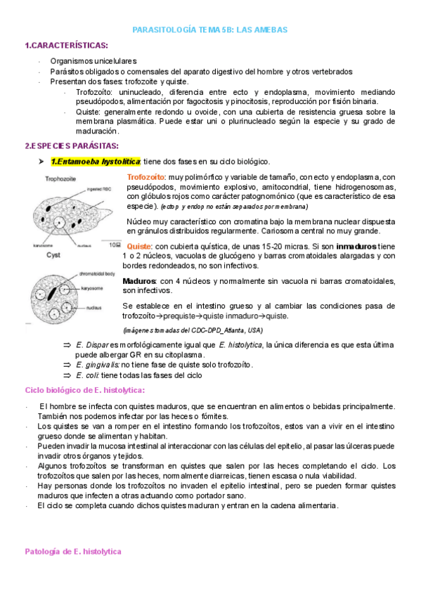 Miniatura del documento Parasitologia-tema-5B.pdf