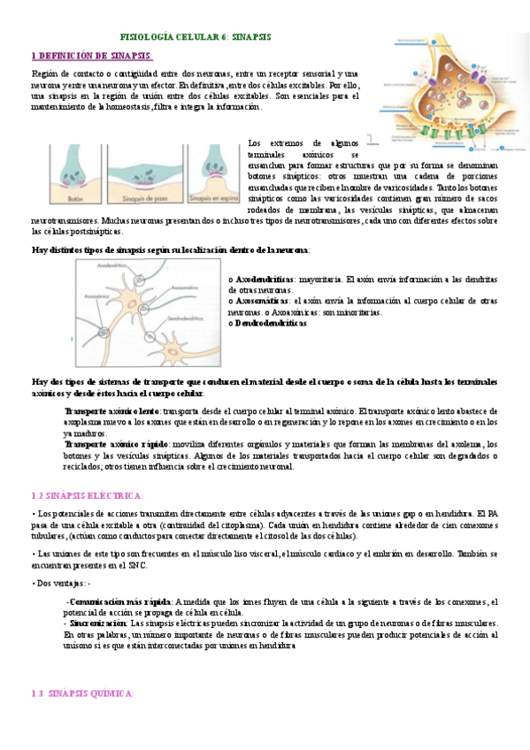 Miniatura del documento FCH-6-SINAPSIS.pdf