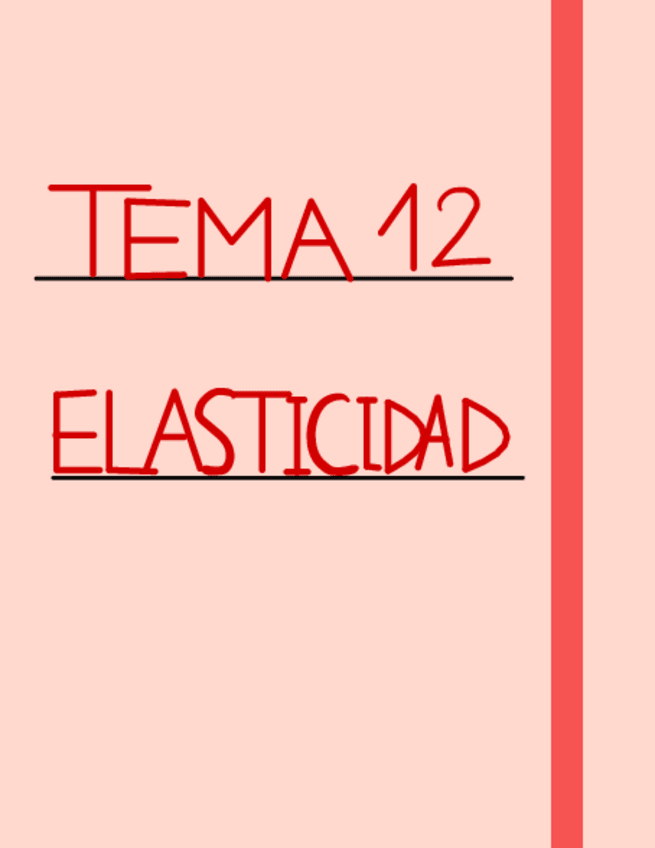 Miniatura del documento T.12-ELASTICIDAD.pdf